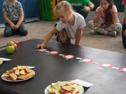 4619875219993133986632752732508698996355651n